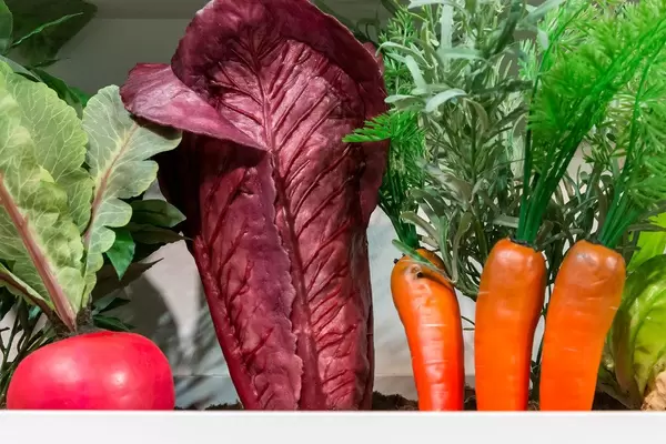 Unechtes Gemüse wie Karotten, Tomaten und Salat, als Küchendekoration