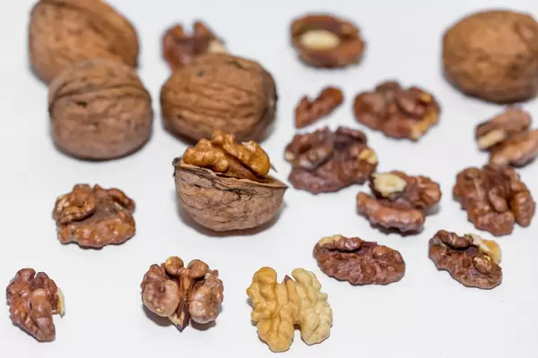 Ungeschälte und geschälte Walnüsse vor weißem Hintergrund