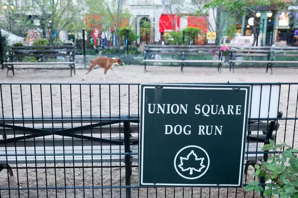 Uniion Square Dog Run