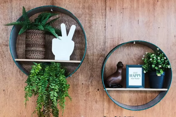 Unique plant design frames on wooden wall