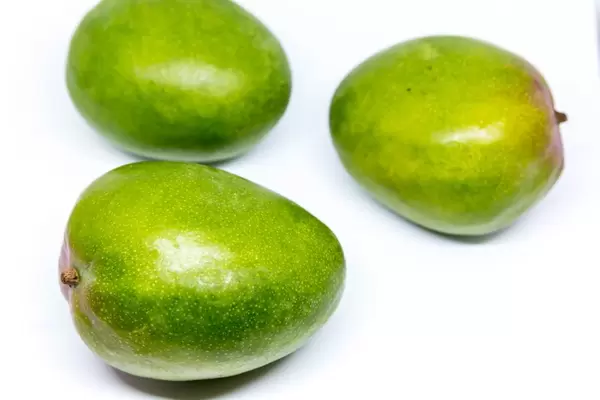 Unripe mangos on white background
