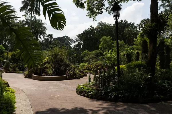 Üppiger Garten in Singapur