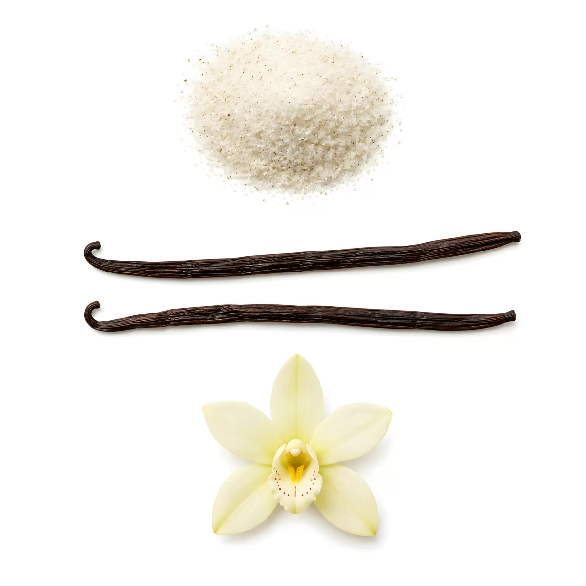 Vanilleschoten, Blüte und Zucker auf weißem Hintergrund