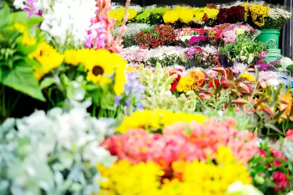 Variety of flowers in a flower shop