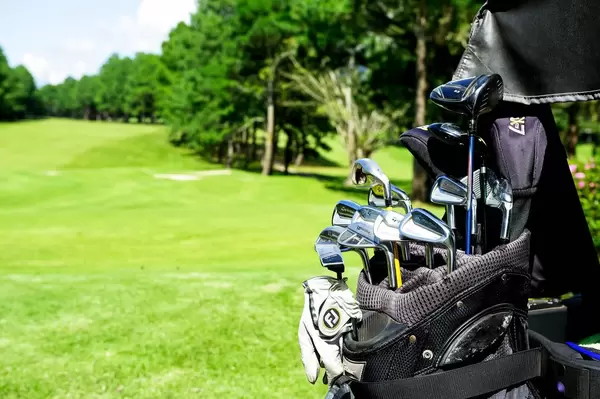 Variety of golf clubs in a golf bag