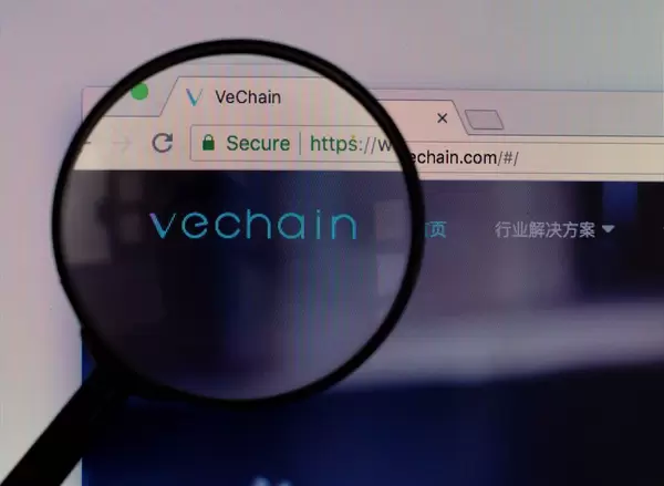 Vechain-Logo am PC-Monitor, durch eine Lupe fotografiert
