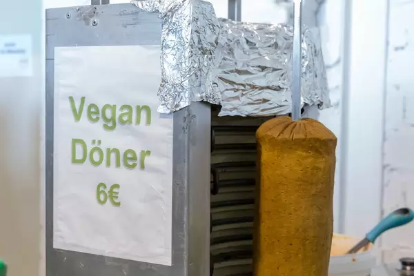 Vegan doner
