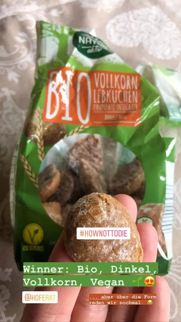 Vegan sweets by Natur Aktiv: organic wholemeal gingerbread with spelt