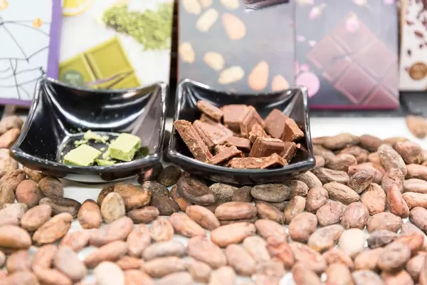 Vegane Schokolade in verschiedenen Geschmacksrichtungen - Veganfach 2017