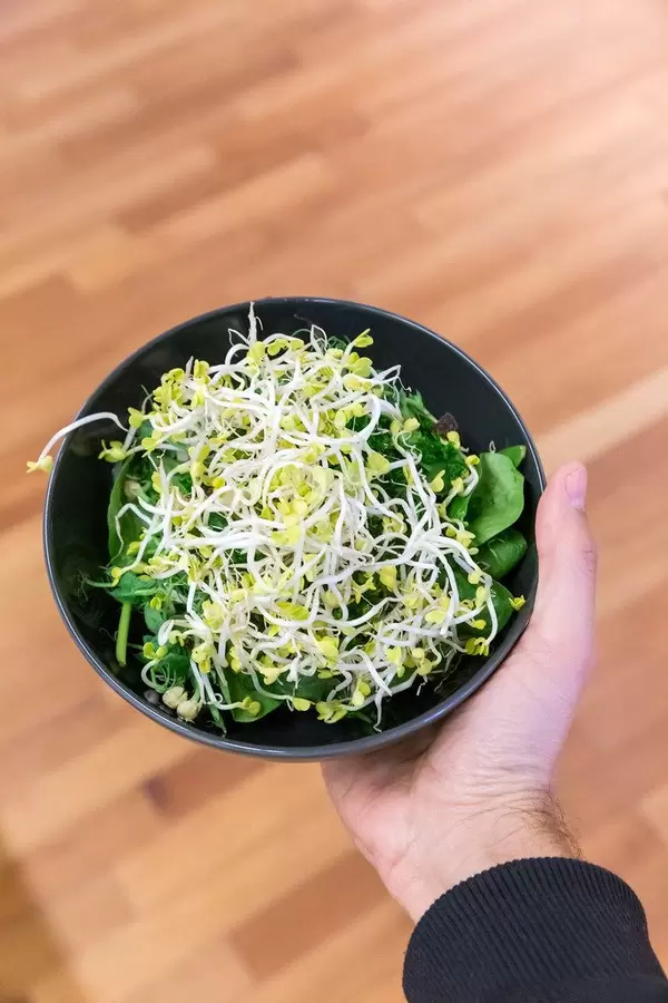 Veganer Salatmix mit Sprossen in einer Männerhand beim Barcamp OMWest 2019 von AXA in Köln, Deutschland