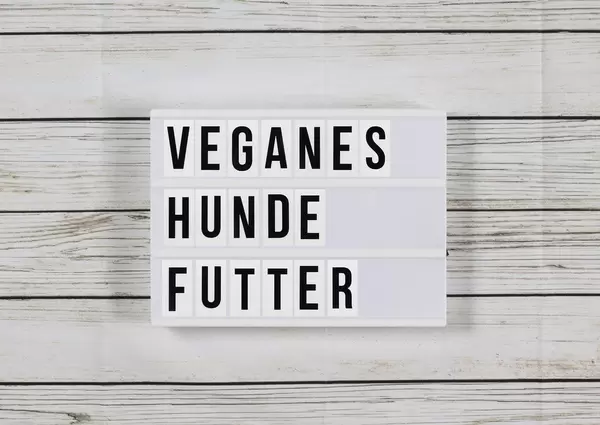 Veganes Hundefutter von Vegdog