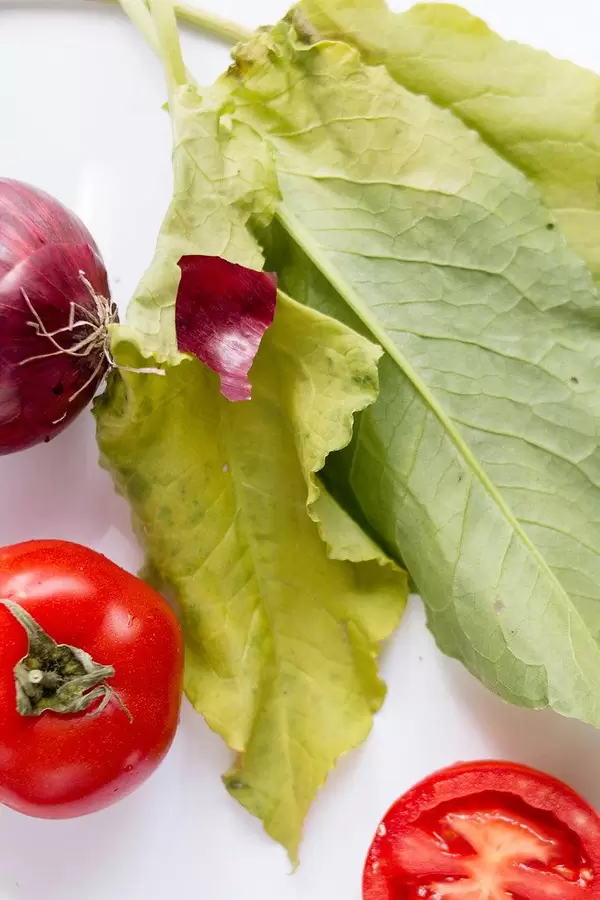 Vegetables close up - tomatoes, salad and a red onion on a white background