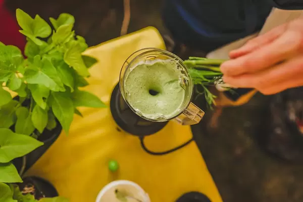 Vegetarian Green Mix Of Vegetable And Basil Making (Flip 2019)