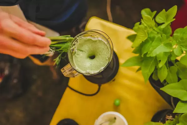 Vegetarische grüne Mischung aus Gemüse und Basilikum