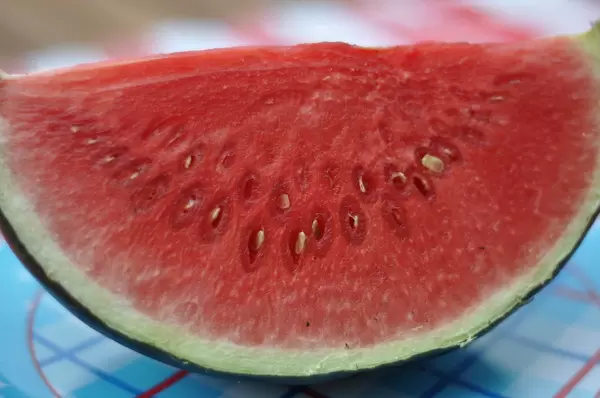 Verdorbene Wassermelone