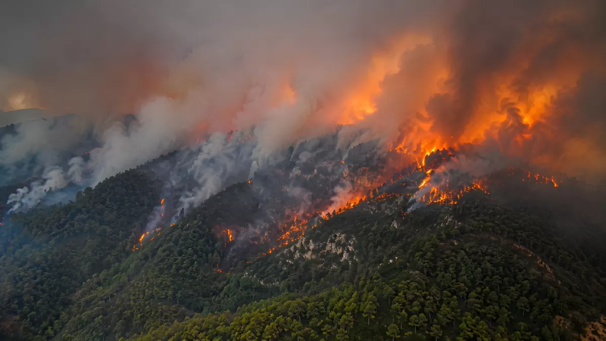 Verheerender Waldbrand wütet auf bewaldeten Bergen