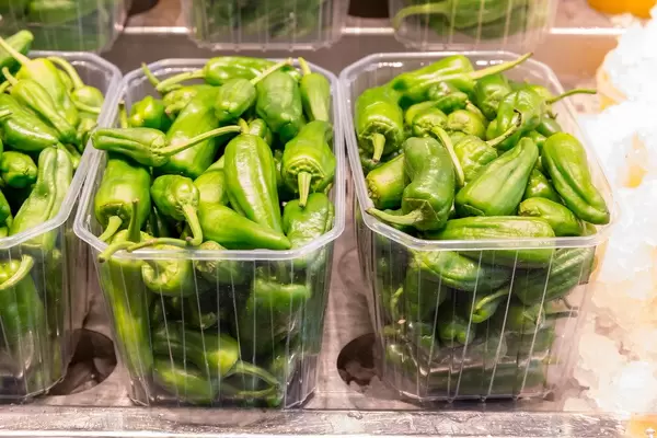 Verkauf der spanischen Tapa Padron - grüne Bratpaprika in Plastikbehältern in der Mercat de la Boqueria Markthalle in Barcelona, Spanien
