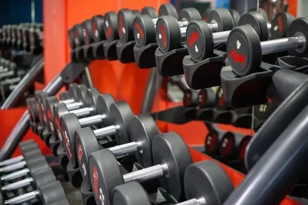 Verschiedene Kurzhantel-Gewichte auf einer Hantelablage in einem Fitnessstudio Nahaufnahme