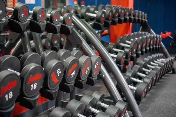 Verschiedene Kurzhanteln für unterschiedliche Übungen auf einem Hantelständer in einem Fitnessraum