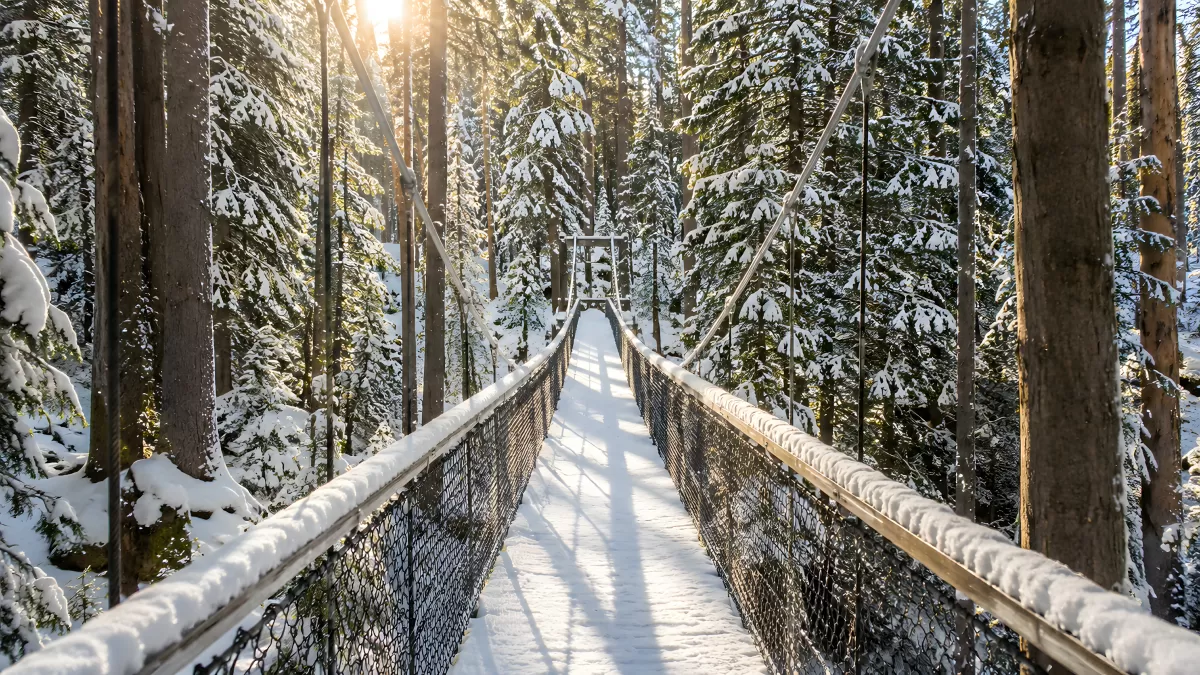 Verschneite Hängebrücke im Winterwald bei Sonnenschein