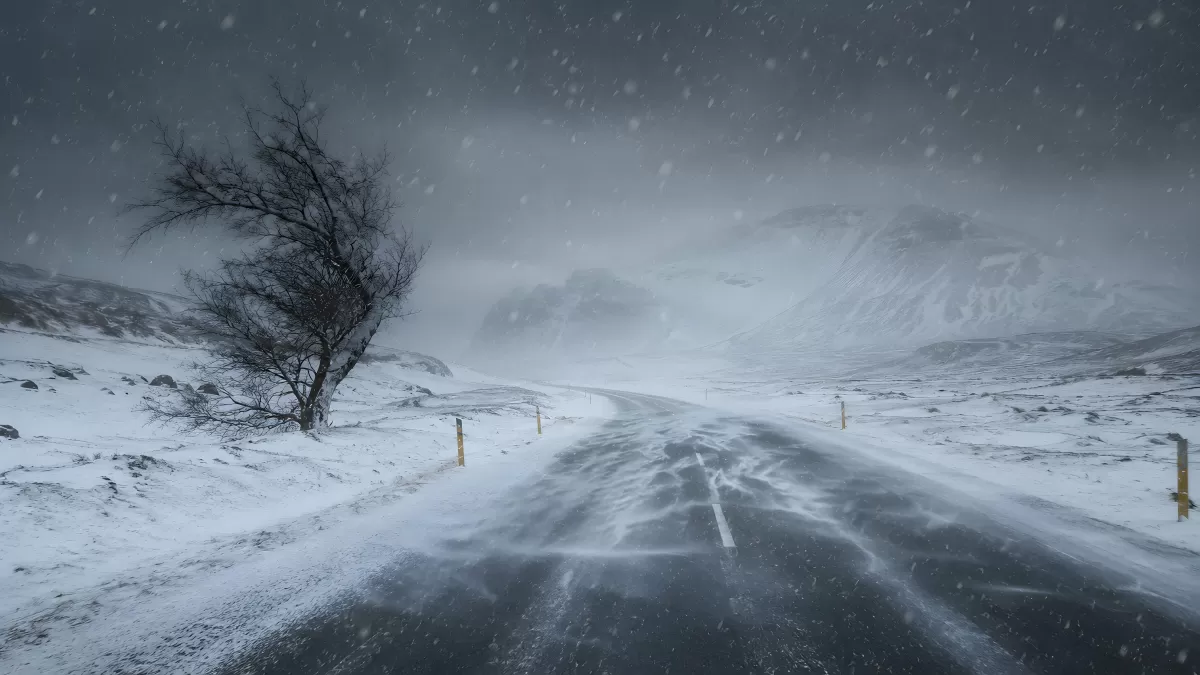 Verschneite Straße im Schneesturm mit kahlem Baum