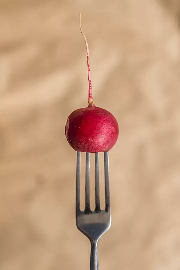 Vertikales Foto eines Radieschens auf einer Gabel aufgespießt