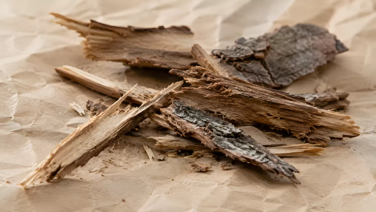 Verwitterte Holzstücke mit Rinde auf Packpapier