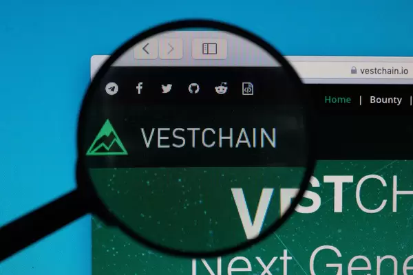 Vestchain logo under magnifying glass