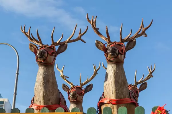 Vier Rentierköpfe vor blauem Himmel am Kölner Rudolfplatz