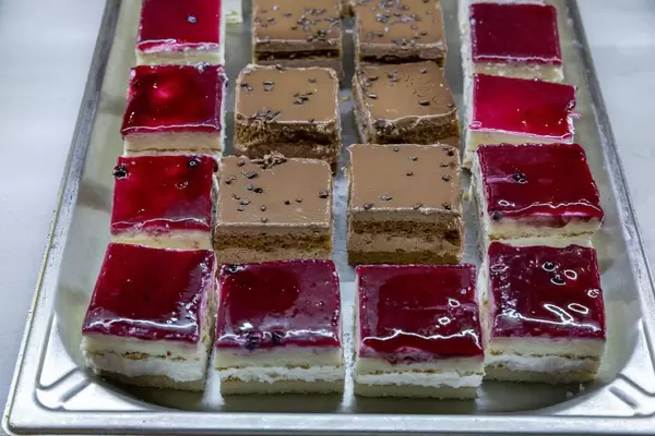 Viereckige Kuchenstücke mit Schokolade und Frucht