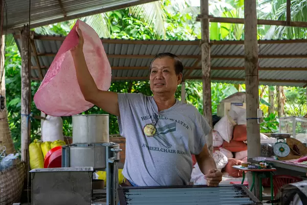 Vietnamese Man showing how to make Handmade Vermicelli from Rice Paper at a Workshop in the Mekong Delta, Vietnam