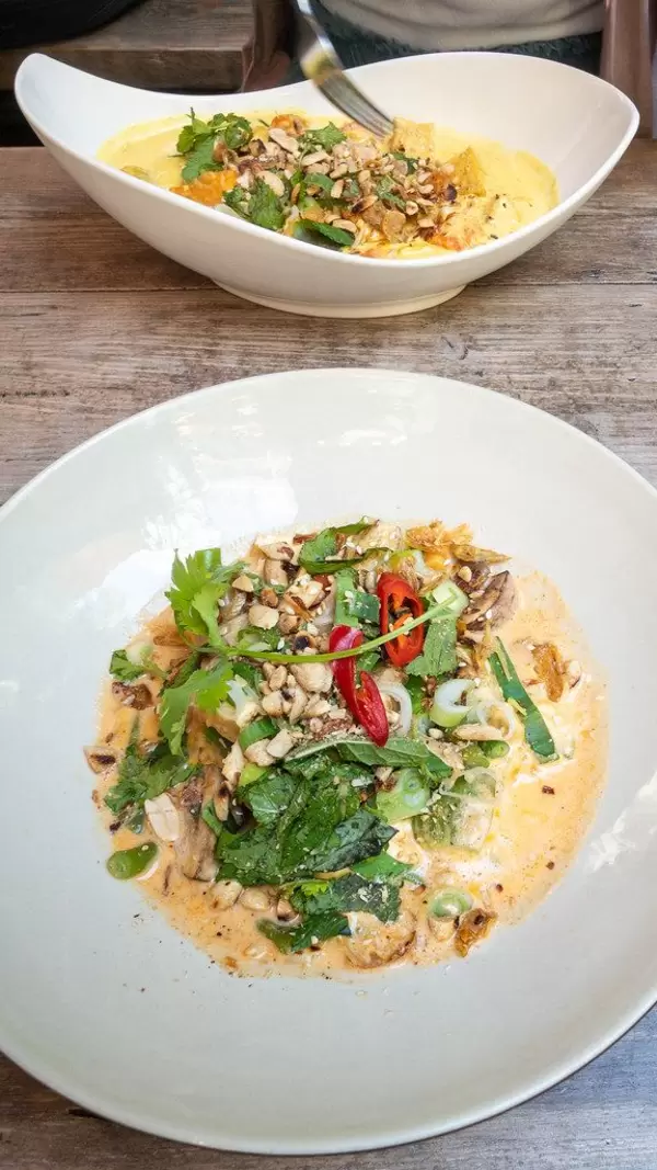 Vietnamesisches Mittagessen "Pho Sot Can" - Bio-Tofu in rotem Kokoscurry mit Ausernpilzen, Buschbohnen, Auberginen und Cashewkernen