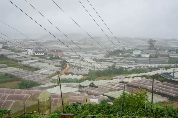 View of many Grow Houses in foggy Weather in Da Lat, Vietnam