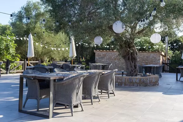 Villa Vegana restaurant open air terrace in Selva, Mallorca. Tables under the olive tree