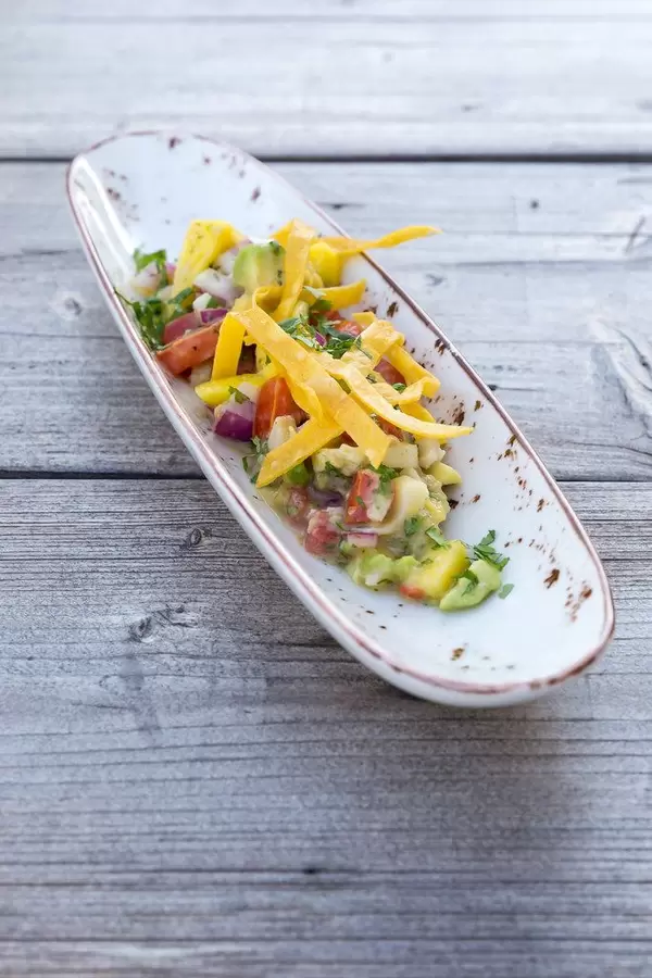 Villa Vegana's vegan Mexican food in Selva on Mallorca: ceviche with mango, avocado and tomato