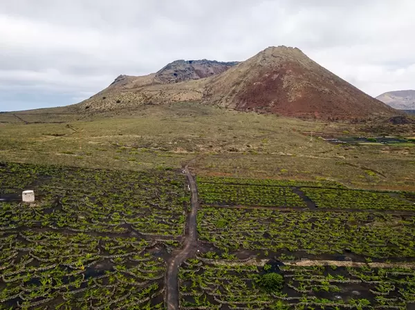 Vinery fields beneath sleeping volcano Monte Corona