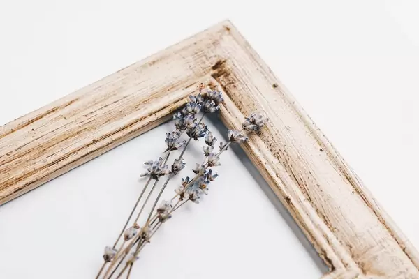 Vintage photo frame and lavender. Retro interior.