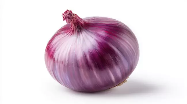 Violette Zwiebel - Nahaufnahme