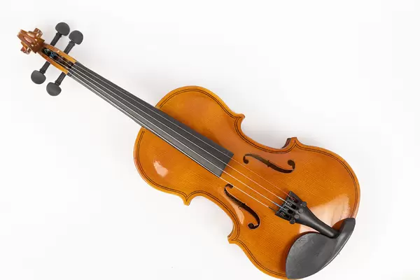 Violin isolated above white background with copy space