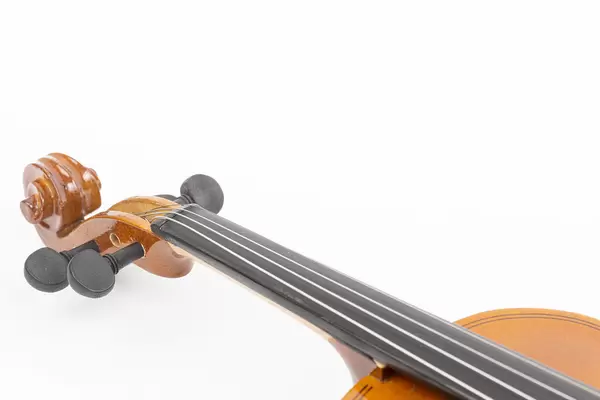 Violin Neck isolated above white background with copy space