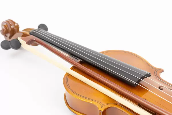 Violin Neck isolated above white background