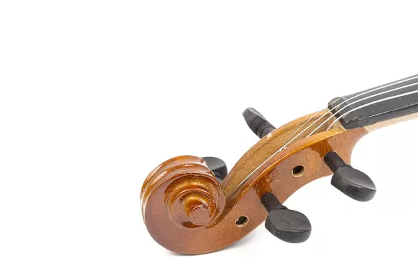 Violin Scroll with Tuning Pegs above white background with copy space