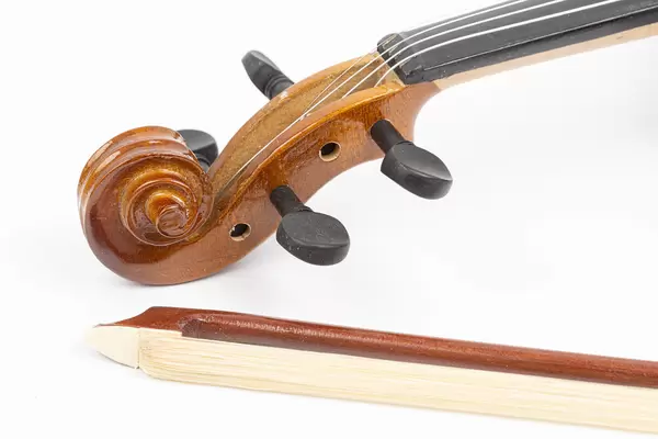 Violin Scroll with Tuning Pegs and Fiddle Bow