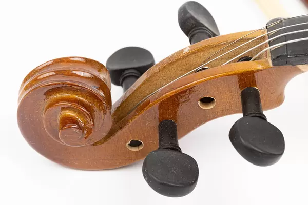 Violin Scroll with Tuning Pegs closeup image