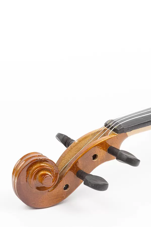 Violin Scroll with Tuning Pegs