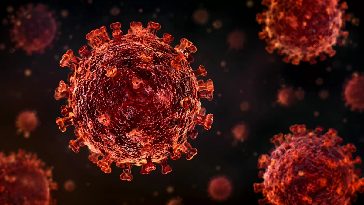 Virus unter dem Mikroskop