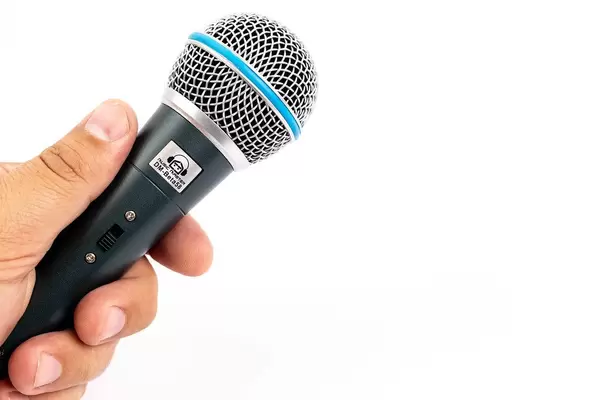 Vocal Microphone Music Master in the hand