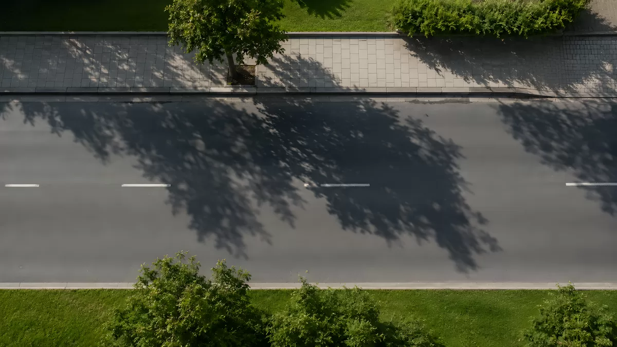 Vogelperspektive auf Stadtstraße mit Baumschatten
