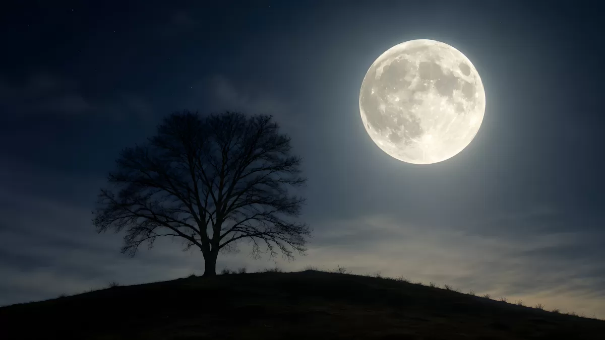 Vollmond über einsamer Silhouette auf Hügel