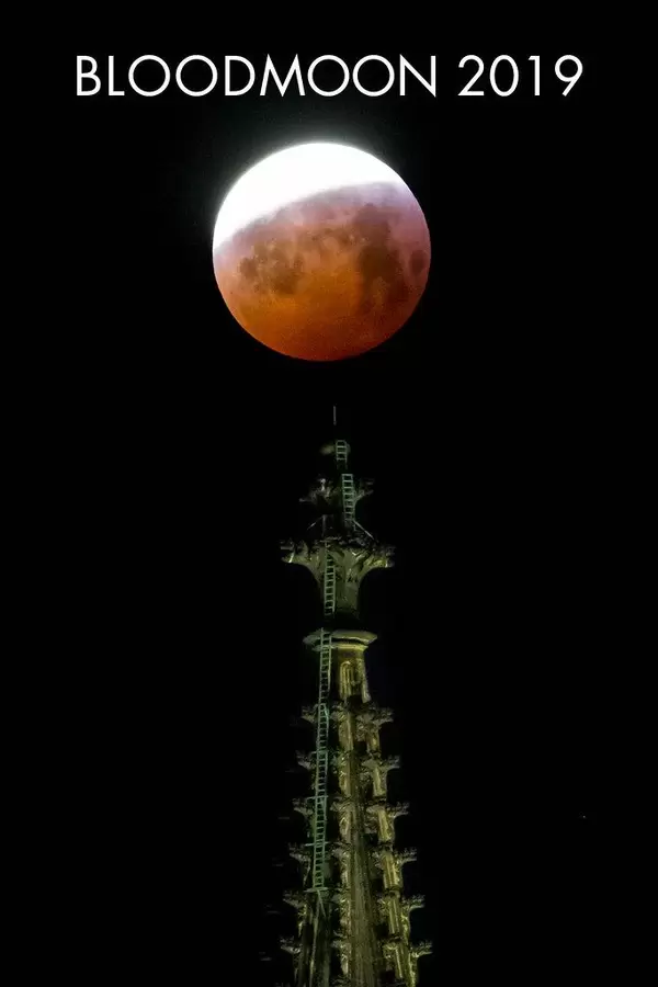 Vollmond während einer totalen Kernschattenfinsternis: Blutmond 2019 - Bloodmoon 2019